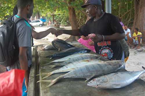 Voyage culinaire aux Seychelles