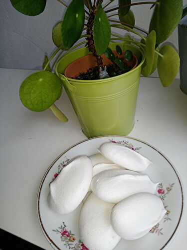 Petite recette rapide de meringues