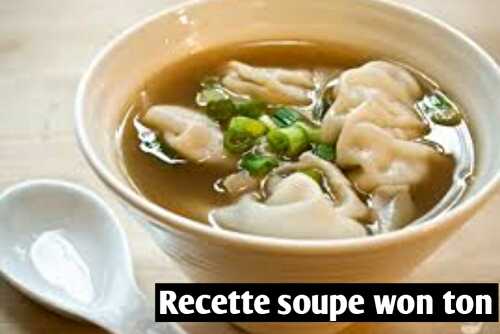Recette soupe won ton : la meilleure recette  