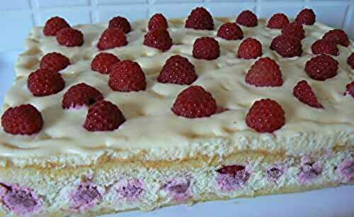 Gâteau Tiramisu aux framboises