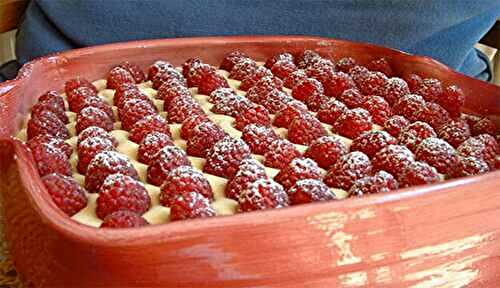 Tiramisu framboises congelées un vrai délice !