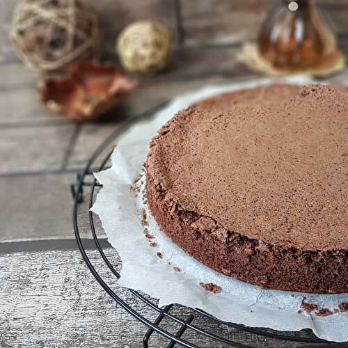 Gâteau à l'huile d'olive et au cacao, sans gluten ni lactose de Nigella Lawson