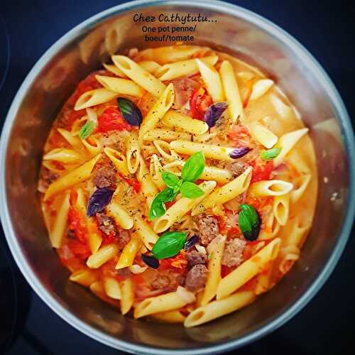 One pot pasta/boeuf/tomate/carotte