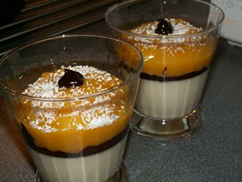 Panacotta lait de coco/chocolat/coulis de mangue