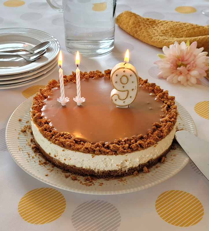 ...Cheesecake aux speculoos sans cuisson ni gélatine, trop bon et trop facile à faire...