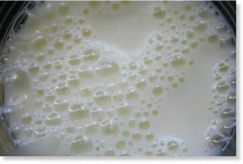 Le lait, responsable des maladies respiratoires, allergies et mucus.