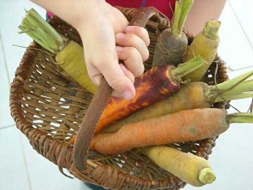 Velouté de carottes au cumin de aud' à la cuisine.