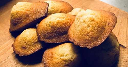 Madeleines parfaites de Philippe CONTICINI