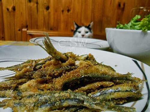 Hamsi [anchois à la manière de chez moi]