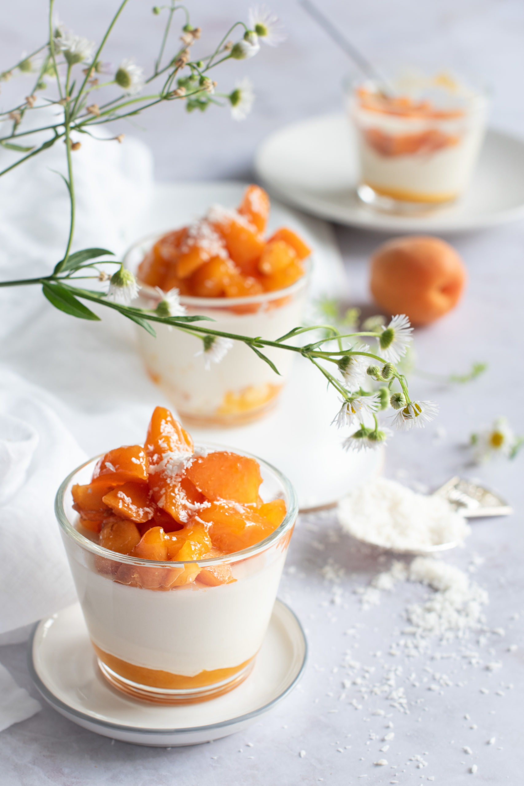 PANNA COTTA A LA NOIX DE COCO AVEC UNE COMPOTEES AUX ABRICOTS