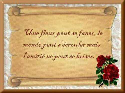 Besoin de votre aide....