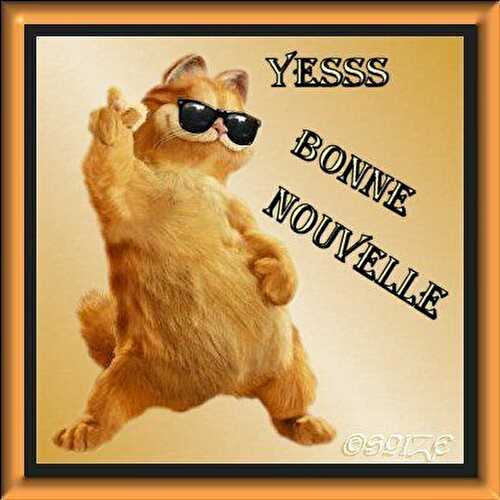 Bonjour....