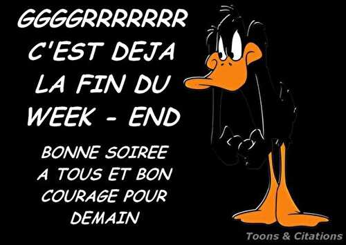 Bonne fin de dimanche ....