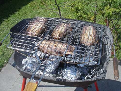 Hareng fumé au BBQ et Camembert ds les braises