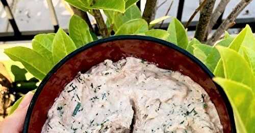 Rillettes Express au Thon et aux Herbes