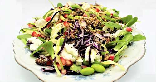 Salade Automnale au Chèvre frais, Chou rouge, Grenade et Noix de Pécan caramélisées (IG bas)