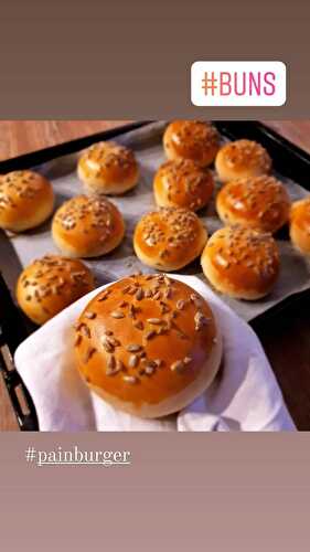 Buns / pains burgers