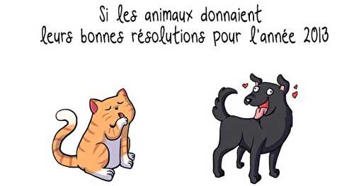 Bonne année 2013 !