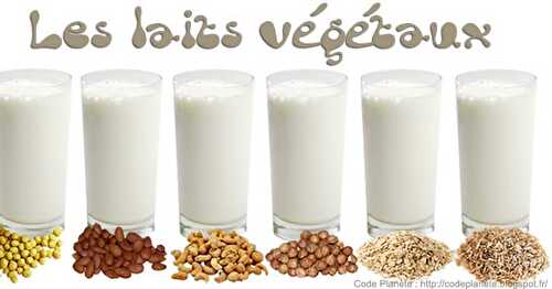 Les laits végétaux