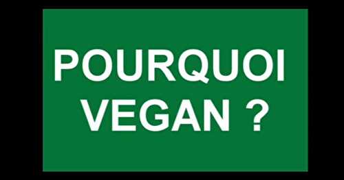 [Vidéo] Pourquoi être vegan ?