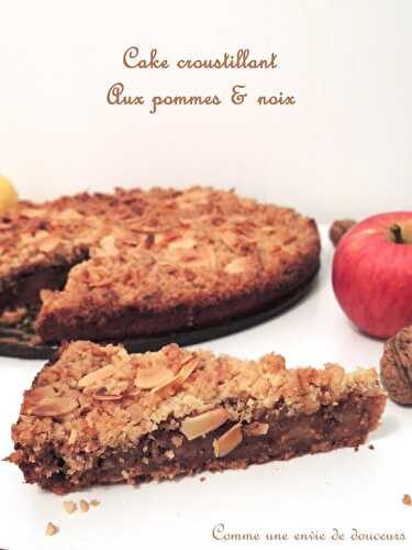 Cake aux pommes & aux noix – Apple & walnut cake