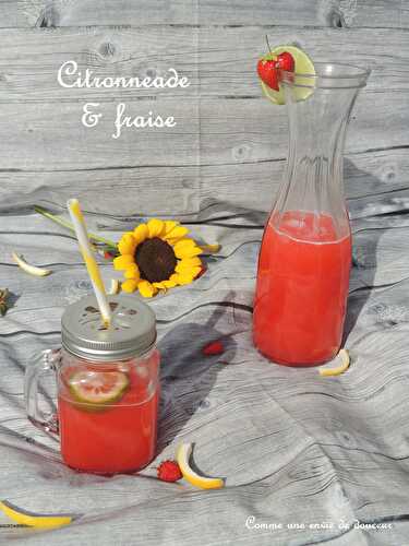 Citronnades & orangeade – Lemonade & orageande