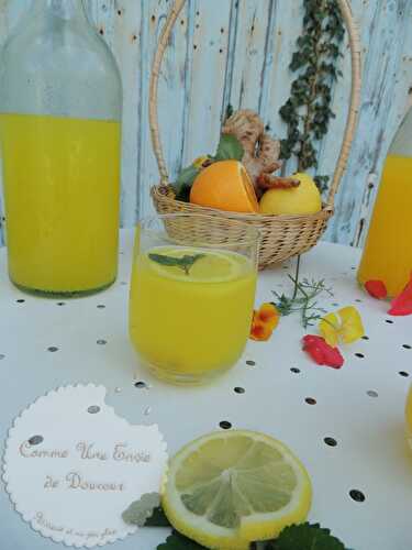 Infusion chaude ou glacée citron curcuma & gingembre ~ Cold or hot lemon, ginger & tumeric infusion