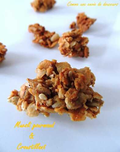 Muesli maison nature ou craquant – Home made muesli crunchy or not