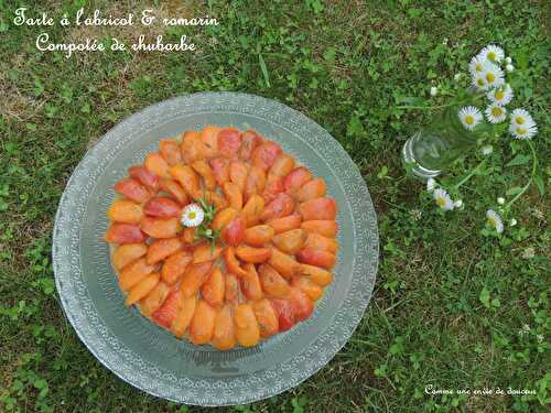 Tarte à l’abricot, compotée de rhubarbe – Apricot & rhubarb tart