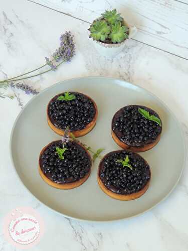 Tartelettes gourmandes ~ Panna cotta myrtille