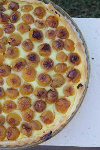 Tarte rustique aux mirabelles