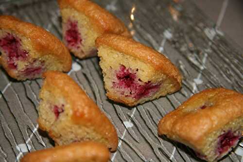 Bouchées aux framboises - plaisirs et gourmandises