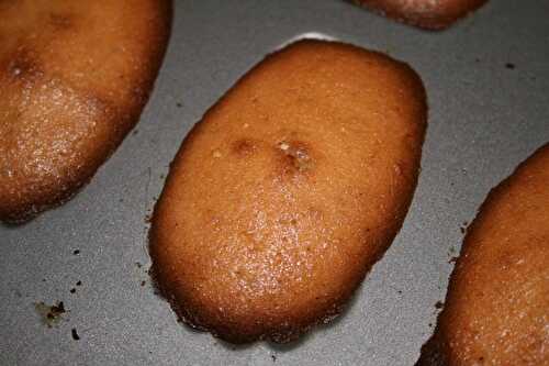 Madeleines aux amandes et aux pistaches - plaisirs et gourmandises