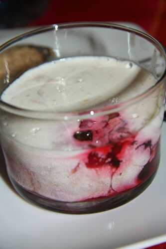 Panna cotta aux fruits rouges - plaisirs et gourmandises