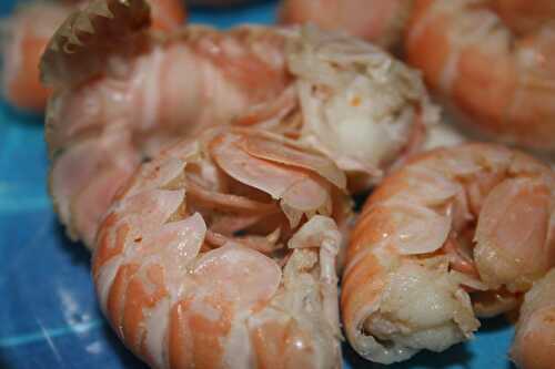 Queues de langoustine - plaisirs et gourmandises