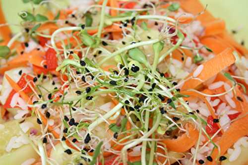 Salade germée - plaisirs et gourmandises