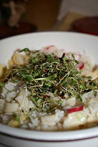 Salade printanière - plaisirs et gourmandises