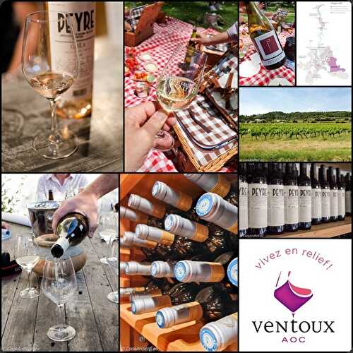 Découverte des vins de l'AOC Ventoux