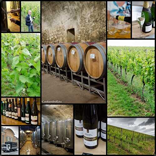 Les Domaines Vinsmoselle - Luxembourg