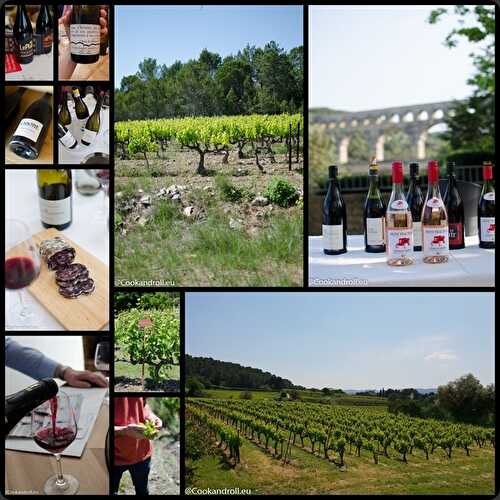 Les vins de Côtes-du-Rhône