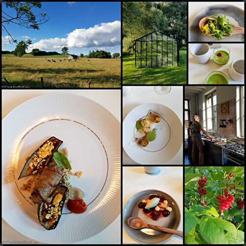 {Restaurant} Humus Botanical Gastronomy - in the fields