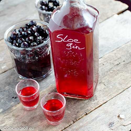 Sloe Gin - Gin aux prunelles