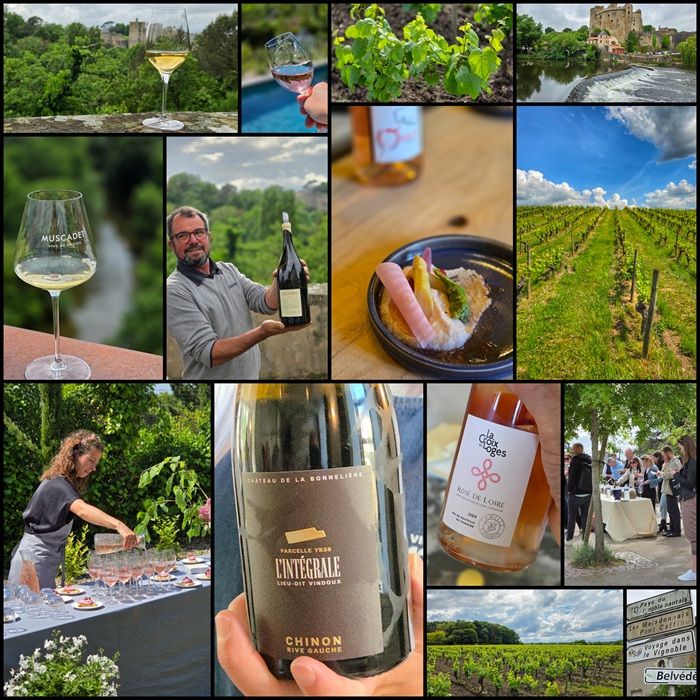 {Vin} Les Vin de Loire