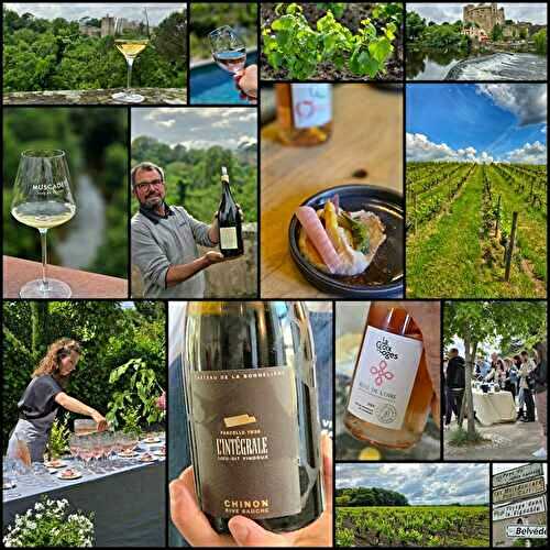 {Vin} Les Vin de Loire
