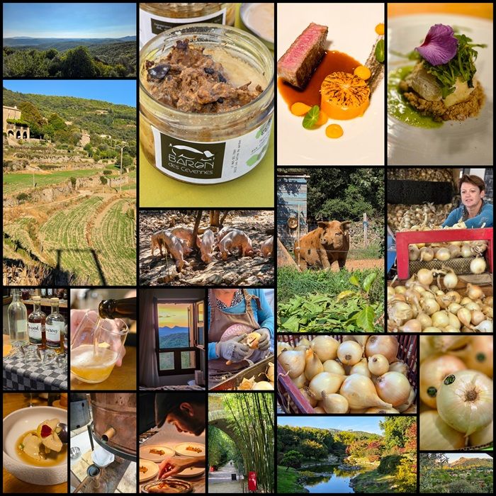 Gard - arrière pays gourmand