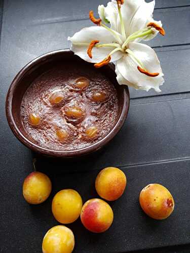 Clafoutis chocolat mirabelles ultra léger 1sp