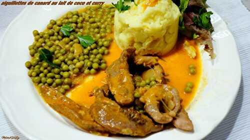 AIGUILLETTES DE CANARD AU LAIT DE COCO ET CURRY