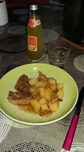 Filet de canard au miel et au soja