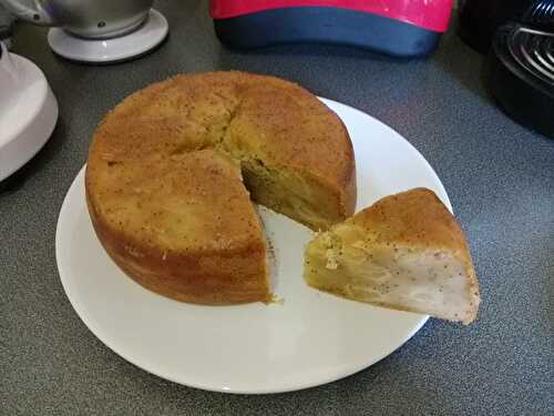 Gateau au yaourt et son moelleux de pommes,spéculos de Ange de nouveau revisité à ma façon