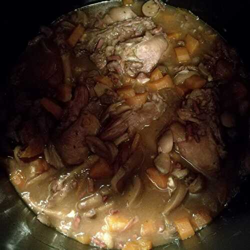 Lapin aux champignons, carottes et vin rouge